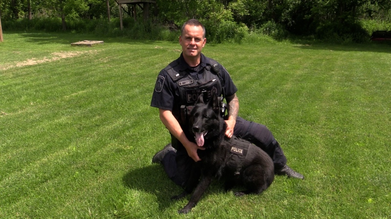 Const. Sean James of the St. Thomas Police Service with retired Police Service Dog Trax on June 4, 2024. Trax was the first PSD in the history of the force. (Brent Lale/CTV News London)