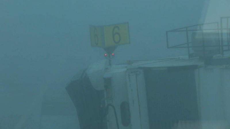 CTV National News: Foggy conditions in N.L.