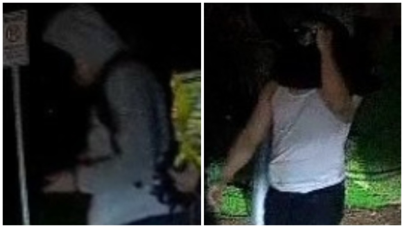 Two suspects wanted in connection with an assault investigation in North York are shown. (Toronto Police Service)