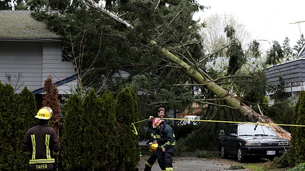 Firefighters wait for B.C. Hydro crews to arrive after high winds toppled a tree and sent it crashing into a car and house in Delta, B.C., on Friday April 2, 2010. (Darryl Dyck / THE CANADIAN PRESS)