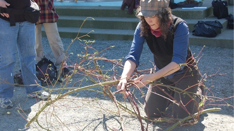 Vancouverites gather in DTES's Crab Park to make scultures for the birds in the area. (Kimiya Shokoohi-CTV) 