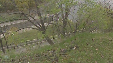 Two men fell from this cliff after jumping a fence in Major's Hill Park in Ottawa, Thursday, April 22, 2010.