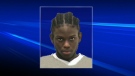 Toronto police released this photo of Mitchell Leton Celise, 17, the city's 14th homicide victim of 2010.