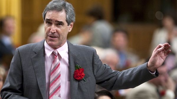 Liberal Leader Michael Ignatieff stands during question period in the House of Commons on Parliament Hill in Ottawa on Wednesday, May 5, 2010. (Sean Kilpatrick / THE CANADIAN PRESS)