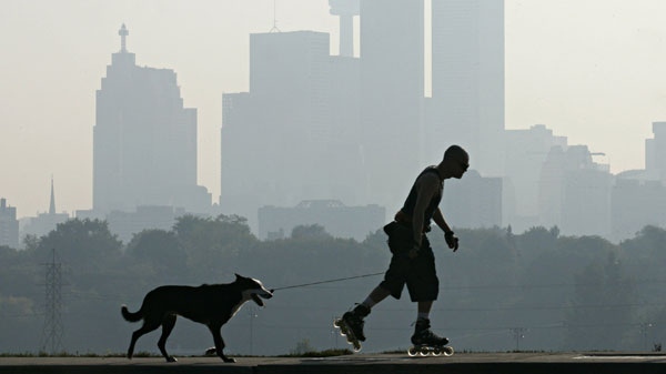 A man rollerblades with his dog as smog hangs over Toronto on Tuesday, Oct. 4, 2005. (Adrian Wyld / THE CANADIAN PRESS)