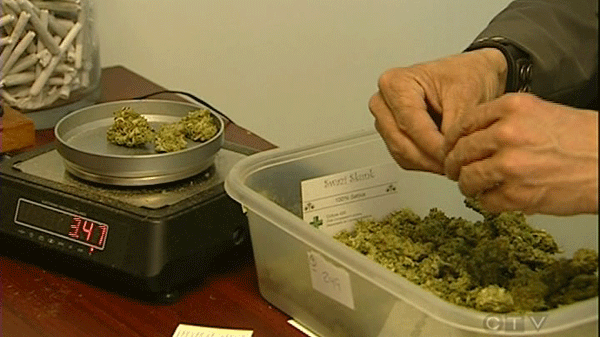 The compassion club sells marijuana to those with a legal prescription.