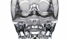 The Ontario Liquor Control Board says it won't carry Crystal Head Vodka in its stores because it does not promote a responsible image for alcohol.