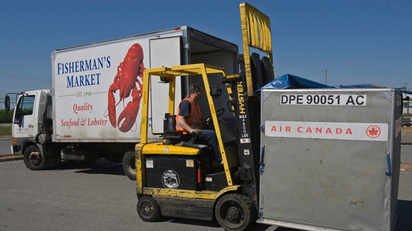 A worker moves a shipping container at an Air Canada cargo facility in Halifax on Monday, May 24, 2010. (Andrew Vaughan / THE CANADIAN PRESS)