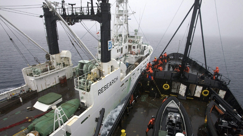 In this Dec. 26, 2008, file image provided by Sea Shepherd Conservation Society, the ship M/V Steve Irwin, right, and the Japanese whaling ship, the Kaiko Maru, clash during a close encounter in the Antarctic Ocean. (AP Photo/Sea Shepherd Conservation Society, Eric Cheng, File) 