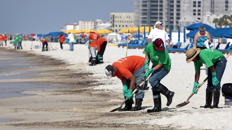 Oil cleanup workers hired by BP make an effort to clean the shore in Orange Beach, Ala., Saturday, June 12, 2010. (AP / Dave Martin)