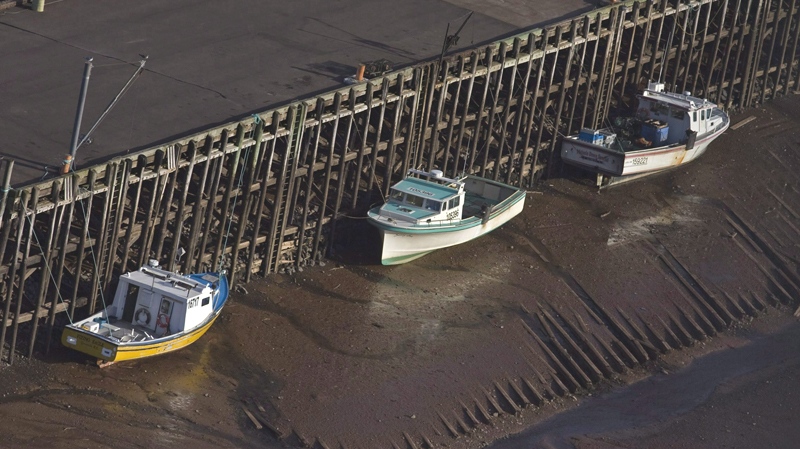 Fishing boats rest on their hulls at low tide at a wharf in Parrsboro, N.S. in the Bay of Fundy on Thursday, Nov. 12, 2009. (Andrew Vaughan / THE CANADIAN PRESS)
