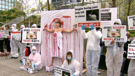 Stop UBC Animal Research held a demonstration to protest animal testing on June 3 in Vancouver, B.C. (CTV)