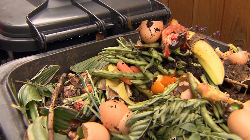Food scraps in green bin