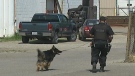 Waterloo Region police investigate following drug raids in Kitchener, Ont. on Thursday, June 21, 2012.