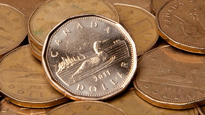 Canadian 'loonie' dollar coins.