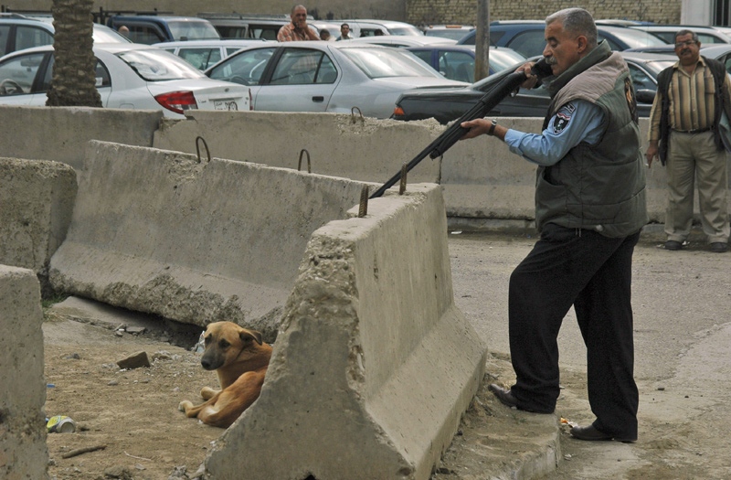 In this Nov. 23, 2008 photo, Iraqi police officer Qassim Ahmed takes aim before shooting a stray dog in the Mansour neighborhood of Baghdad, Iraq. (AP Photo / Asaad Mouhsin)