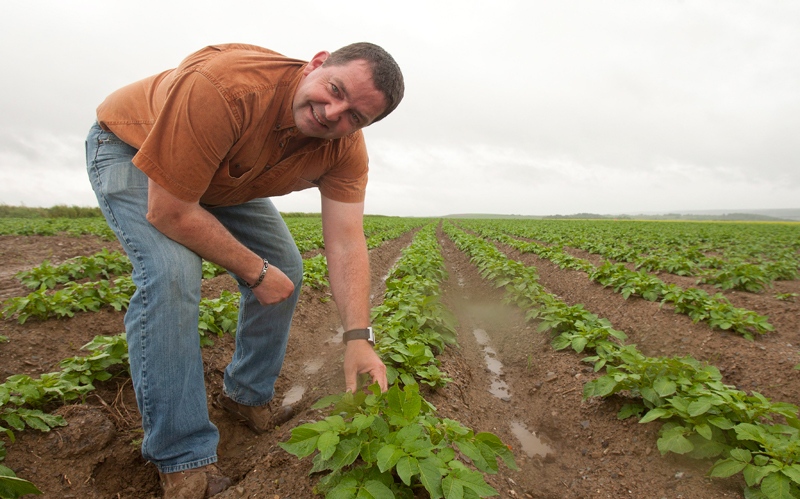 New Brunswick potato farmer Henk Tepper 