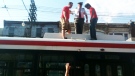 A TTC supervisor convinces two men to leave the roof of a streetcar on College Street in front of Plaza Flamingo during World Cup partying on Sunday, July 11, 2010 (Bill Doskoch/ctvtoronto.ca)