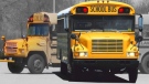 Montreal school bus graphic