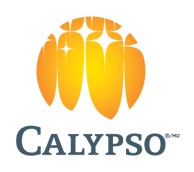 Win a Family and Friends Adventure for 10 at Calypso Waterpark | CTV News