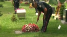 A Toronto Police officer searches for evidence in Pine Hills cemetery on Tuesday, July 13, 2010 after a violent sexual assault.