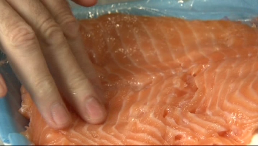 CTV British Columbia: Parasite attacks B.C. salmon