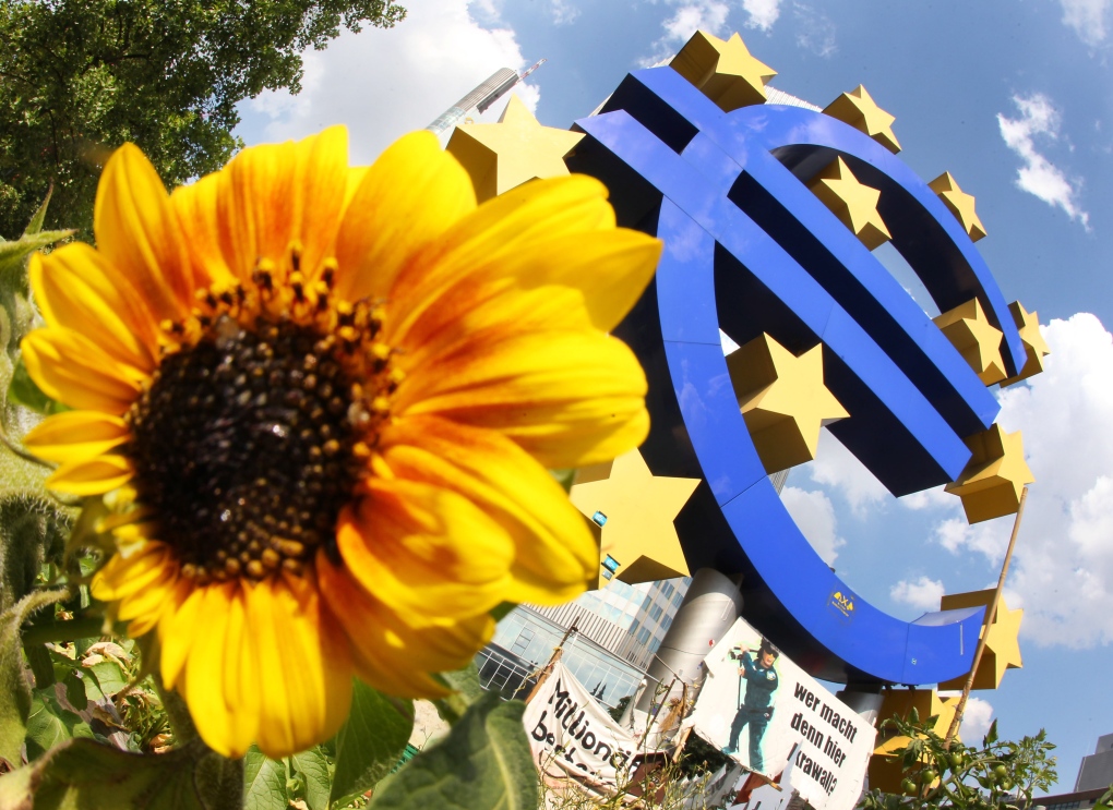 A sunflower stands in front of the Euro sculpture in Frankfurt, Germany