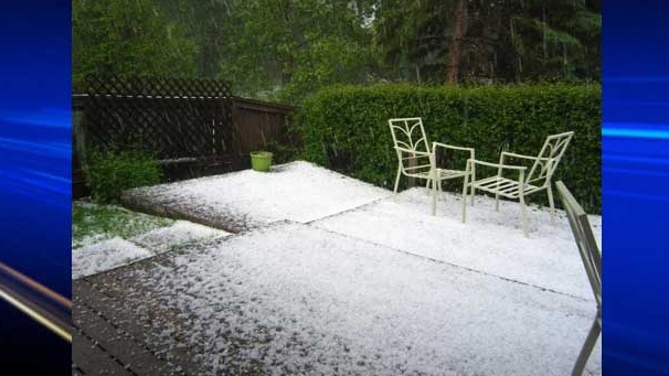 A backyard in Dalhousie is covered in hail.