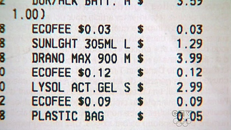 This receipt shows the eco fee applying to a range of purchases.