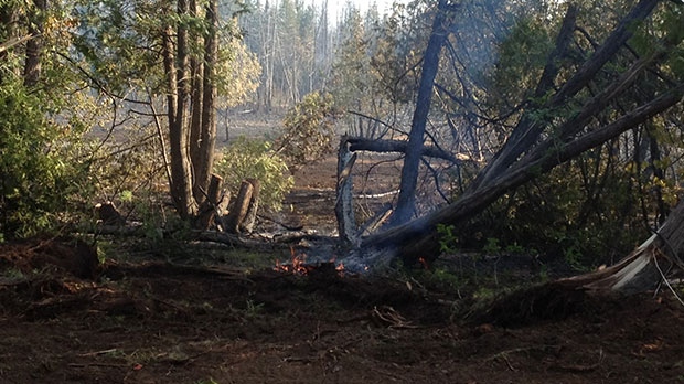 Fire crews are still working to extinguish hot spots like this one in a west Ottawa brush fire Friday, July 13, 2012.