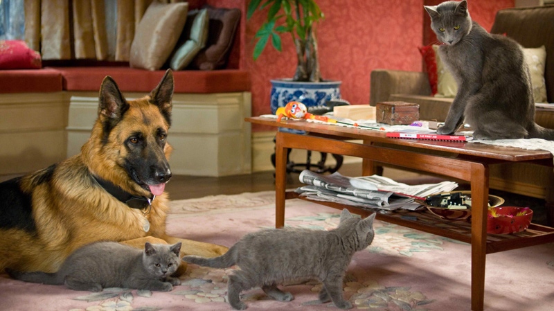In this film publicity image released by Warner Bros., animal characters, Diggs, voiced by James Marsden, left, and Catherine, voiced by Christina Applegate, right, are shown in a scene from, 'Cats & Dogs: The Revenge of Kitty Galore.' (AP Photo / Warner Bros.)