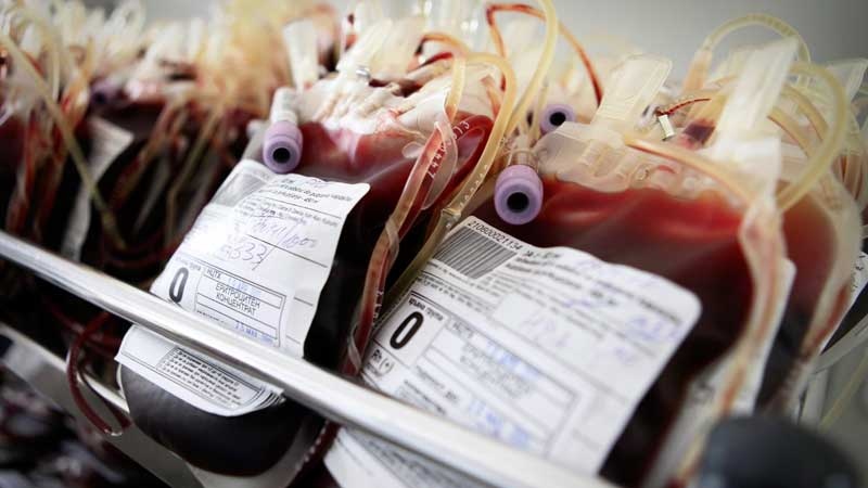 Blood units are prepared for storage at the National Center for Hematology and Transfusion in Sofia, Bulgaria, on Tuesday, April 26, 2011. (Valentina Petrova/AP)