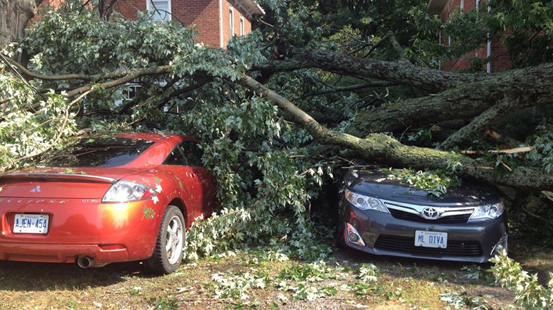 Viewer Hendrik Pape submitted this photo of storm damage in Athens, Ont. Tuesday, July 17, 2012.