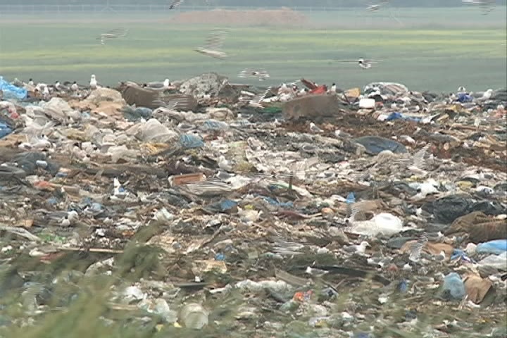 At the Saskatoon Landfill, the city’s trash is being transformed into treasure. 