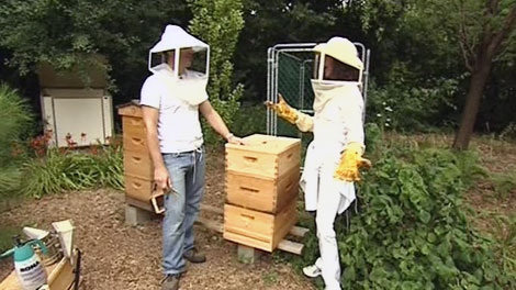 Beekeeper Richard Roulx 
