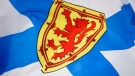 ns flag