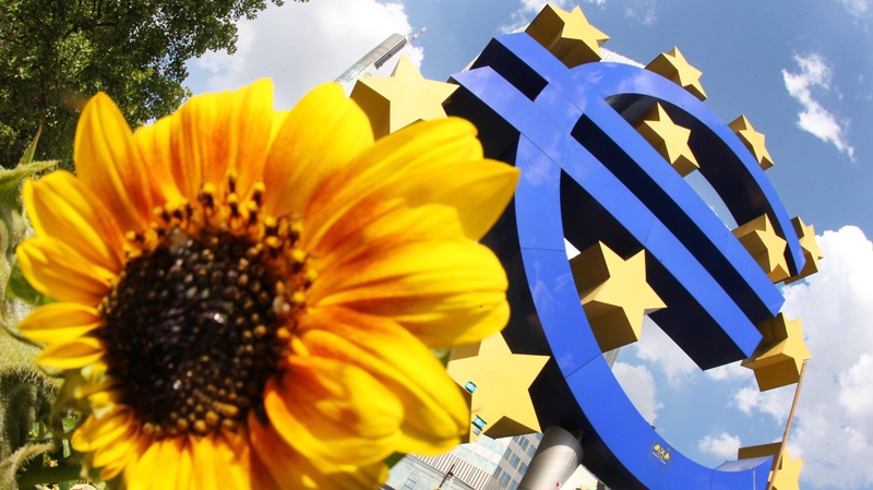 A sunflower stands in front of a Euro sculpture in Frankfurt, Germany, on July 5, 2012.