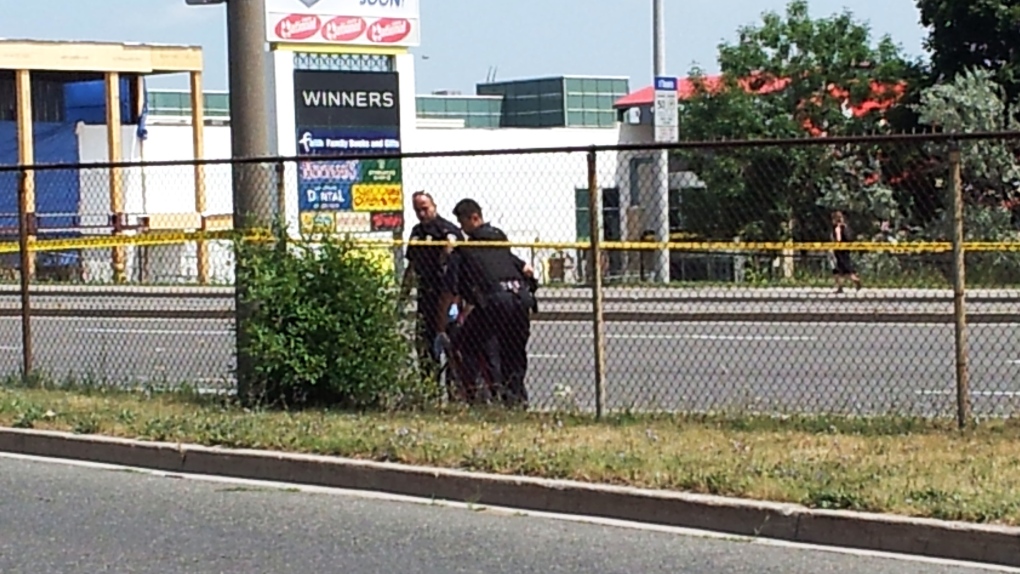 Police shown investigating the scene where a man was found dead near McCowan Road and Highway 401