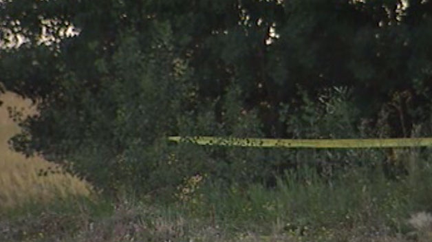 RCMP taped off a portion of this wooded area near Highway 9 and Highway 4.