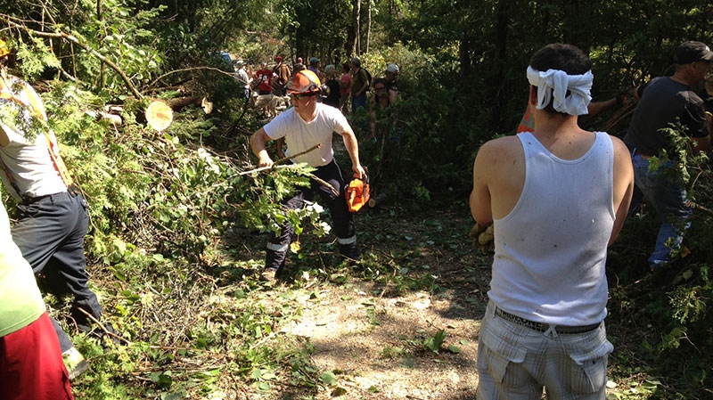 Residents use chainsaws and other tools to help clear a rock blocked by fallen trees in Norway Lake on Tuesday, July 24, 2012.