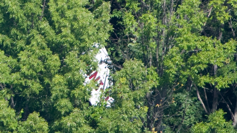 A plane wing is barely visible in this viewer-submitted photo that shows a fatal plane crash near Port Hope, Ont. on Wednesday, July 25, 2012. (Courtesy: Pete Fisher)