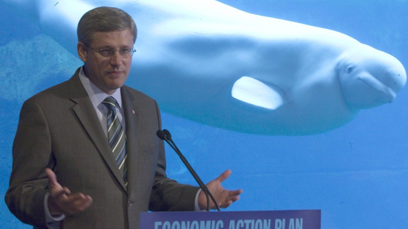 A beluga whale swims past Prime Minister Stephen Harper as he makes an announcement at the Vancouver Aquarium in Vancouver, Monday, August 9, 2010. (Jonathan Hayward / THE CANADIAN PRESS)