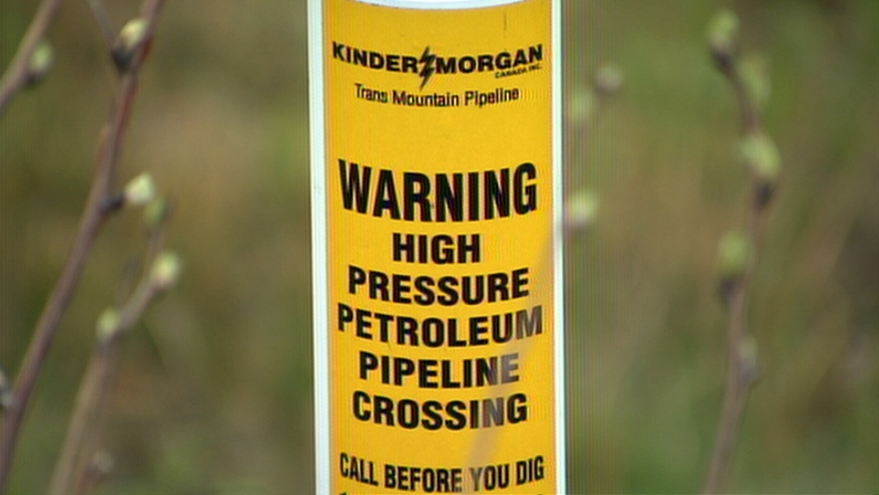 Kinder Morgan oil leak amounted to less than two barrels: NEB