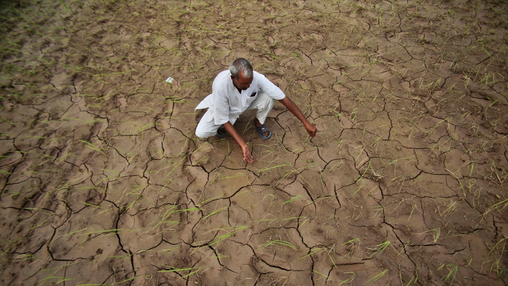 India, farmers, rain