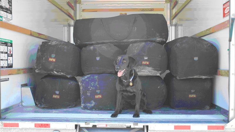 The nine duffle bags of marijuana that police found inside the U-Haul driven by a B.C. man on Thursday, August 12, 2010. (Courtesy of Wyoming Highway Patrol) 