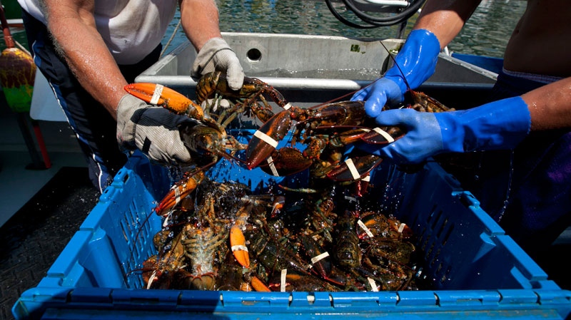 Lobster fishing boat