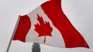 A Canadian Maple Leaf flag flies near the Peace tower on Parliament Hill in Ottawa on Feb. 15, 2012. (The Canadian Press/Adrian Wyld)