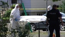 Investigators carry the body of a woman found in a Vanier parking lot, August 20, 2010.