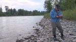 Fisheries biologist Dave Bustard prepared a 100-page report on the potential impact of an oil spill on B.C.'s Morice River. (CTV)