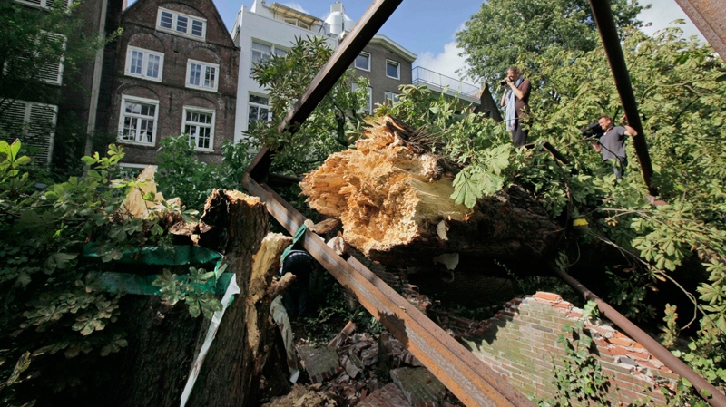 A photographer and a cameraman climb on the monumental chestnut tree, which comforted Anne Frank while she hid from the Nazis during World War II, after it had fallen over, at the Anne Frank Museum  in Amsterdam, Netherlands on Monday, Aug. 23, 2010. (AP / Peter Dejong)